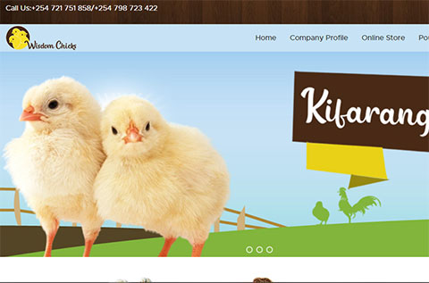 Wisdom Chicks Ecommerce website design